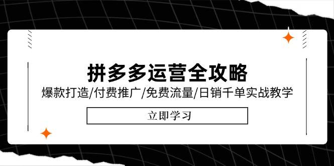 （15085期）拼多多运营全攻略，爆款打造/付费推广/免费流量/日销千单实战教学/6月更新-高东资源网