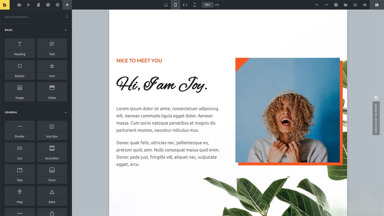WordPress主题Bricks v1.9 破解版-高东资源网