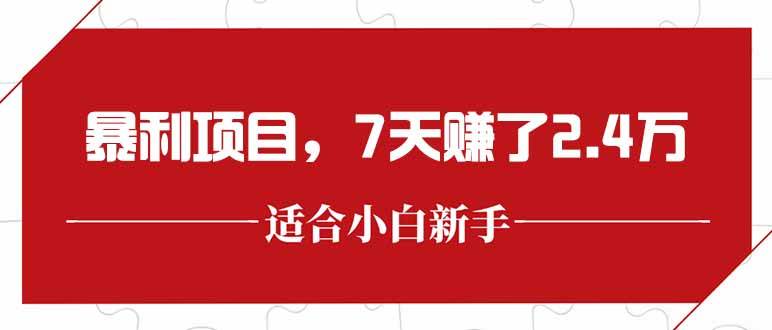 （15228期）最新暴利项目，每单收益轻松在300以上，7天赚了2.4万-高东资源网