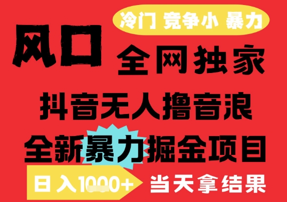 25年6月高爆抖音无人直播最新撸音浪掘金项目，解放双手小白可做，无脑日入1k+，门槛低【揭秘】-高东资源网