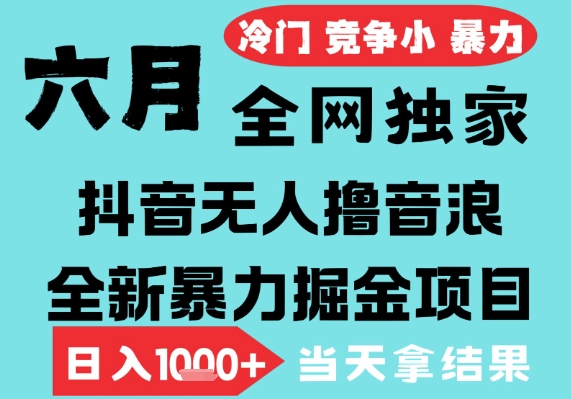 2025年6月高爆抖音无人直播最新撸音浪掘金项目，无脑日入1k+，低门槛小白可做，可矩阵放大【揭秘】-高东资源网