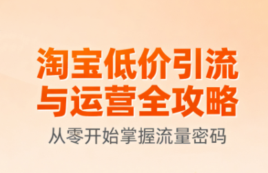 淘宝低价引流与运营全攻略(更新9月)-高东资源网