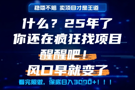 什么？25年你还在疯狂找项目做，醒醒吧，看完这些你全都懂了！【揭秘】-高东资源网