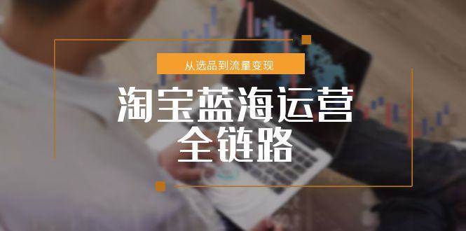 （15160期）淘宝蓝海运营全链路，从选品到流量变现，小类目突围完整方案-高东资源网