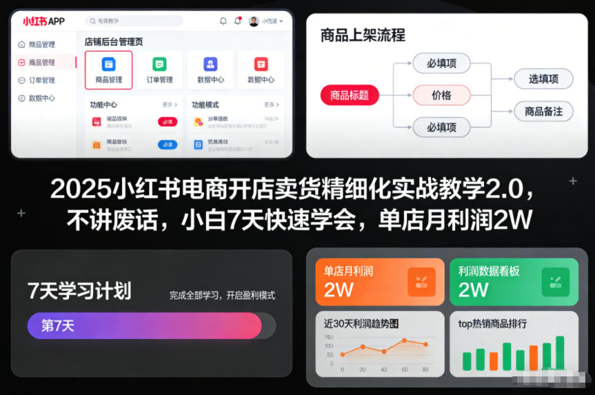 2025小红书电商开店卖货精细化实战教学2.0，不讲废话，小白7天快速学会，单店月利润2W-高东资源网