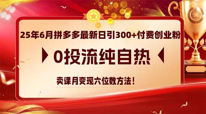 （14989期）25年6月拼多多最新日引300+付费创业粉，0投流纯自热 卖课月变现六位数方法-高东资源网
