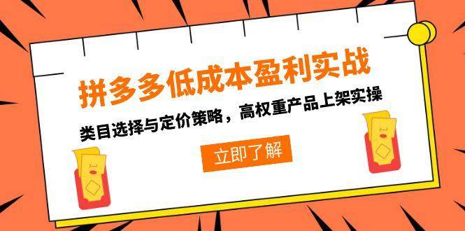 （15143期）拼多多低成本盈利实战，类目选择与定价策略，高权重产品上架实操-高东资源网