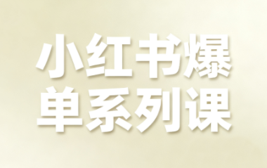 尼采老师·小红书爆单系列课-高东资源网