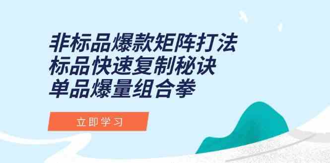 非标品爆款矩阵打法，标品快速复制秘诀，单品爆量组合拳-高东资源网