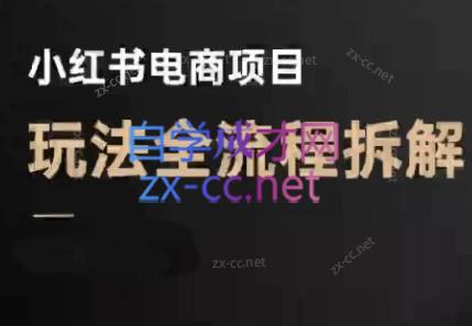 菲菲老师·小红书电商玩法(更新9月)-高东资源网