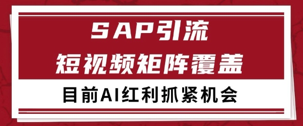 小红书某音sap赛道引流获客 自热矩阵日引200+【揭秘】-高东资源网