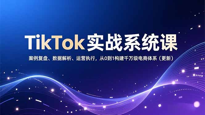 TikTok实战系统课，案例复盘、数据解析、运营执行，从0到1构建千万级电商体系(更新-高东资源网