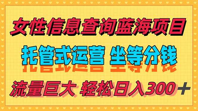（15216期）稳定日入300＋，小众信息查询蓝海项目，全程懒人式托管，解放你的时间-高东资源网