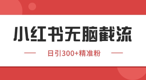 小红书截流同行客源，独家野路子获客玩法 日引200+暴力获客【揭秘】-高东资源网