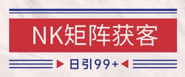 小红书某音NK赛道引流获客 自热矩阵日引200+【揭秘】-高东资源网
