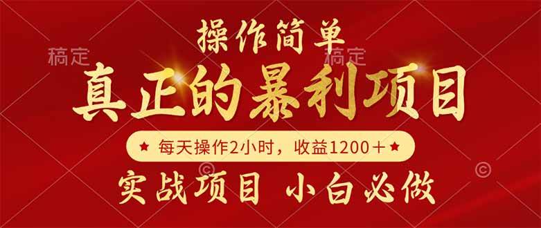 （14978期）真正的暴利项目，操作简单，每天收益1200＋，自己做老板-高东资源网