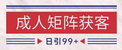 小红书某音橙人赛道引流获客，自热矩阵日引200+【揭秘】-高东资源网