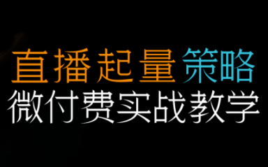 半野老师·直播带货起量与微付费必学课视频号-高东资源网