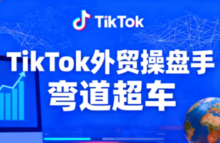 TikTok外贸操盘手(更新11月)-高东资源网