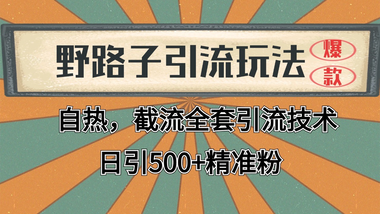 2024首发野路子引流玩法截流自热全平台打法，全自动引流【日引2000+精准客户】-高东资源网
