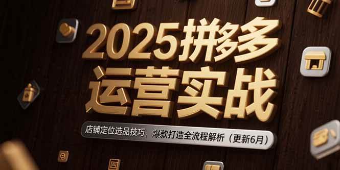 （15235期）2025拼多多运营实战：店铺定位选品技巧，爆款打造全流程解析（更新6月）-高东资源网