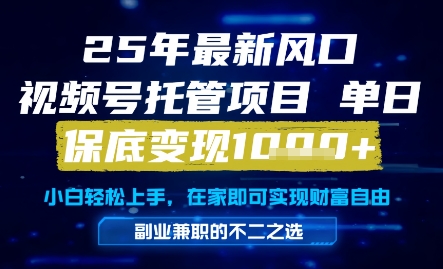 25年最新风口，视频号托管项目，单日保底变现1k+，手把手教学【揭秘】-高东资源网