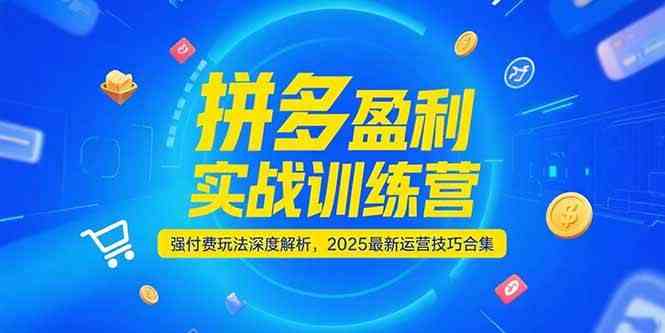 拼多多盈利实战训练营，强付费玩法深度解析，2025最新运营技巧合集-高东资源网