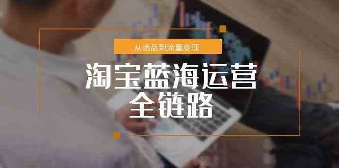 淘宝蓝海运营全链路，从选品到流量变现，小类目突围完整方案-高东资源网
