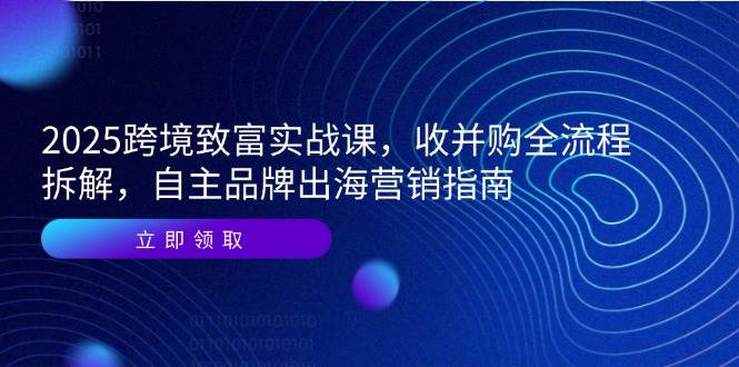 （14975期）2025跨境致富实战课，收并购全流程拆解，自主品牌出海营销指南-高东资源网
