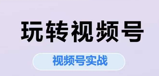 玩转视频号，视频号实战系列课-高东资源网
