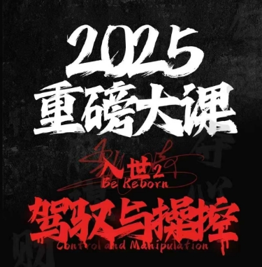 2025重磅大课，入世2，驾驭与控制-高东资源网