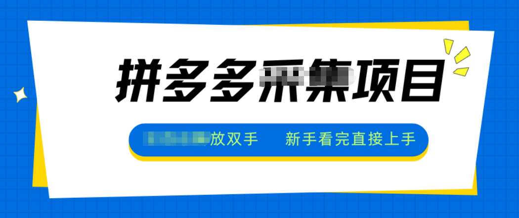 拼多多电商采集,一小时50+,操作简单,零投资-高东资源网