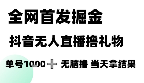 全网首发掘金抖音无人直播撸礼物，单号1k +无脑撸，当天拿结果【揭秘】-高东资源网
