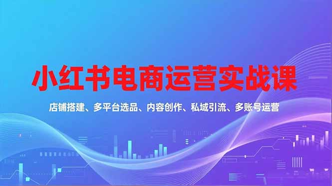 小红书电商运营实战课,店铺搭建、多平台选品、内容创作、私域引流、多账号运营等玩法-高东资源网