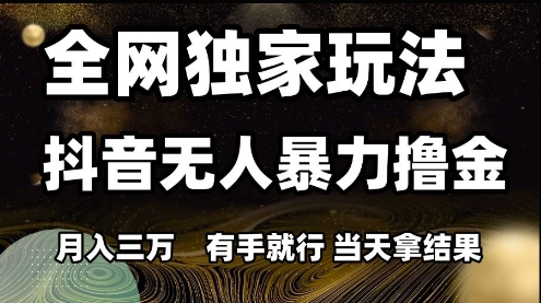 全网独家玩法抖音无人暴力撸金，月入3W，有手就行，当天拿结果【揭秘】-高东资源网
