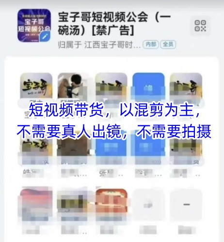 宝子哥头部团队短视频带货，以混剪为主，不需要真人出镜，不需要拍摄【更新11月】-高东资源网