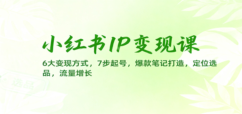小红书IP变现课:6大变现方式,7步起号,爆款笔记打造,定位选品,流量增长-高东资源网