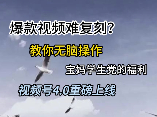 视频号4.0重磅上线，爆款视频难复刻？教你无脑操作宝妈学生党的福利【揭秘】-高东资源网