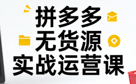 子枫老师·拼多多无货源实战运营课(更新12月)-高东资源网