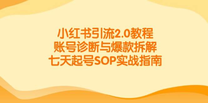 小红书引流2.0教程，账号诊断与爆款拆解，七天起号SOP实战指南-高东资源网