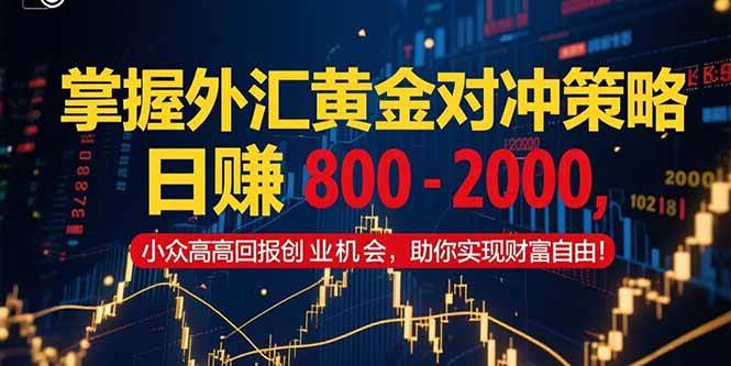 （15198期）掌握外汇黄金对冲策略，日赚 800 – 2000，小众高回报创业机会，助你实…-高东资源网