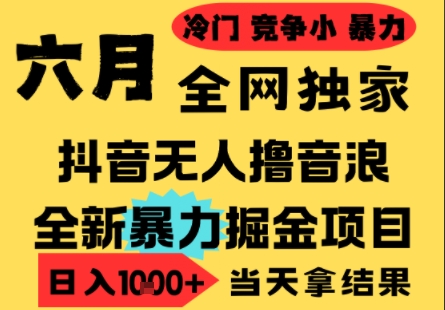 25年6月高爆抖音无人直播最新撸音浪掘金项目，小白可做，无脑日入1k+，门槛低可批量矩阵【揭秘】-高东资源网