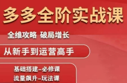 大炮·拼多多全阶实战课程(更新10月)-高东资源网