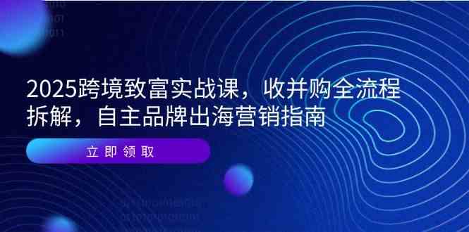 2025跨境致富实战课，收并购全流程拆解，自主品牌出海营销指南-高东资源网